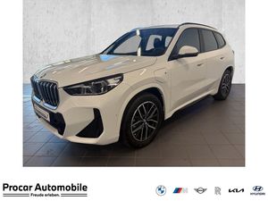 BMW X1 xDrive25e M Sport HUD ACC AHK 360°KAM RFK LM
