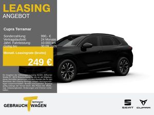 Cupra Terramar 1.5 eTSI DSG PARKLENK eSITZE HEAD-UP 36