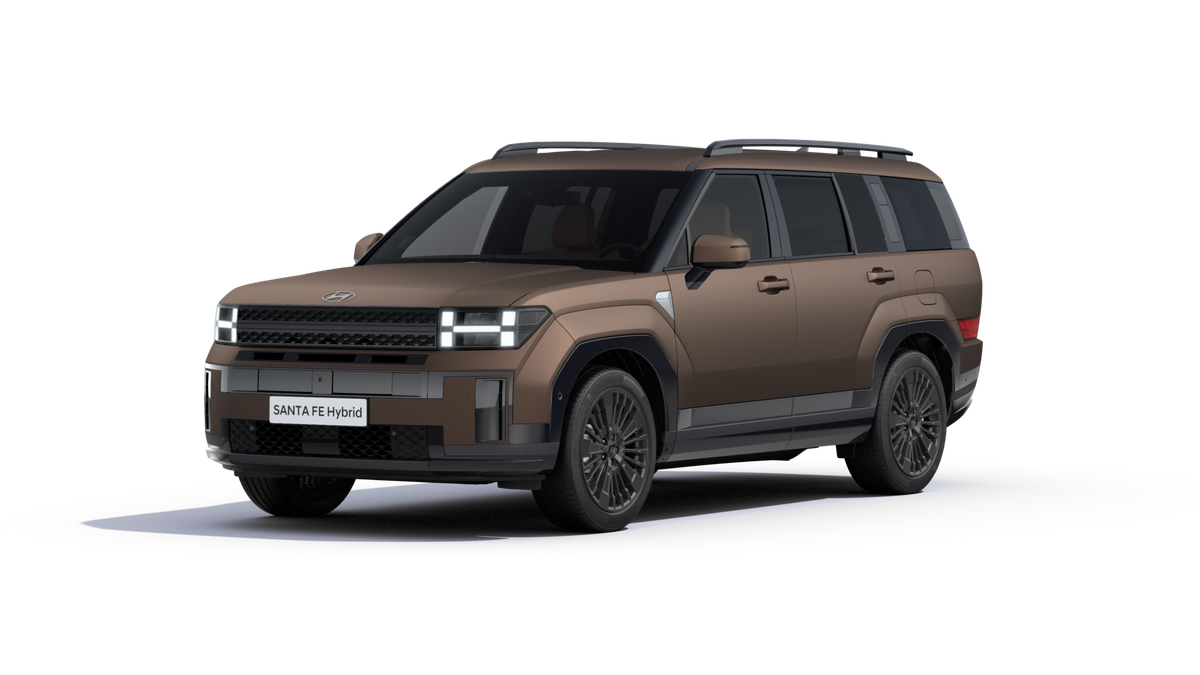 Hyundai SANTA FE Blackline Auto-Abo