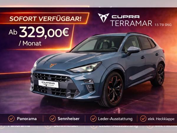 Cupra Terramar 1.5 TSI DSG Panorama|Sennhsr|Leder|19