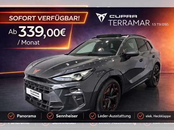 Cupra Terramar 1.5 TSI DSG Panorama|Sennhsr|Leder|19