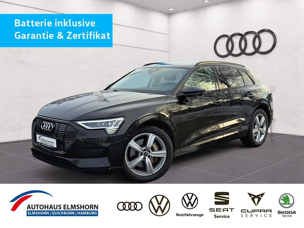 Audi e-tron advanced 55 quattro NAV MATRIX HEAD 4xKAM Leasing