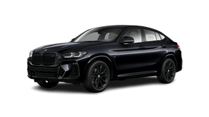 BMW X4 BMW 20d 140 kW (190 PS) 8-Gang Steptronic xDrive 2.0 Allrad Auto-Abo
