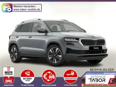 Skoda Karoq DSG Selec ACC Kam SideA SHZv/h Kessy SunS Auto kaufen