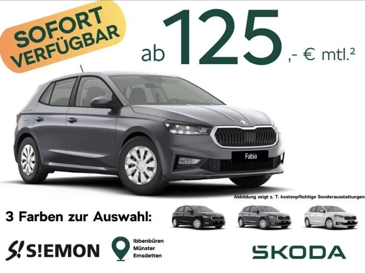 Skoda Skoda Fabia 1.0l TSI 70kW Selection Privatkunden Leasing