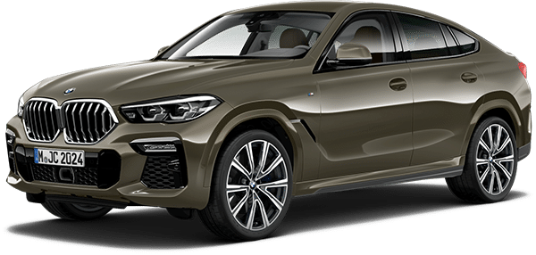BMW X6 Vehicle Model