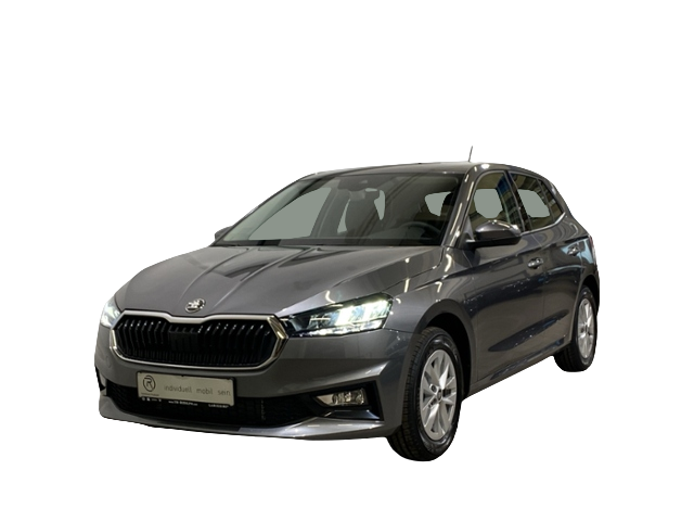 Skoda Fabia 1.0 TSI DSG Selection / LED Einparkhilfe Auto-Abo