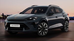 Cupra Formentor VZ 2.0 TSI 265 PS 7-Gang-DSG - Leasing