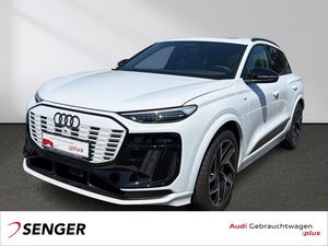Audi Q6 e-tron quattro Pano ACC AHK