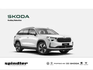 Skoda Kodiaq Selection 2,0 TDI 142 kW 7-Gang-DSG 4x4