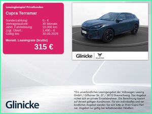Cupra Terramar 2.0 TSI DSG VZ 4Drive 20" Matrix
