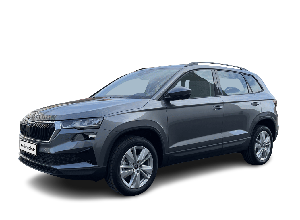 Skoda Karoq Skoda Karoq Selection 1,5 TSI 110 kW 7-Gang-DSG Auto-Abo