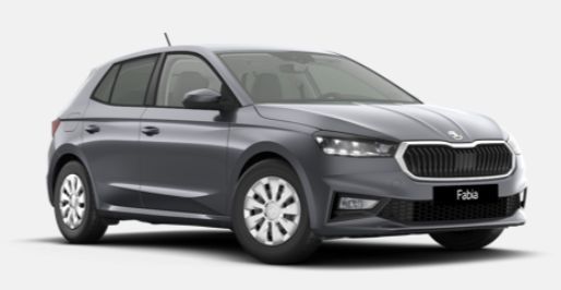 Skoda Fabia Skoda Fabia Selection 1.0 TSI 85 kW (116 PS) 7-Gang-DSG Auto-Abo