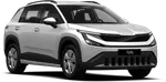 Skoda Leasing