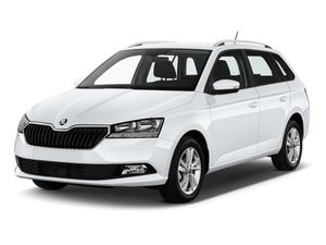 Skoda Fabia 1.0 TSI Tour LED Navi ACC RFK Kessy SmartLink