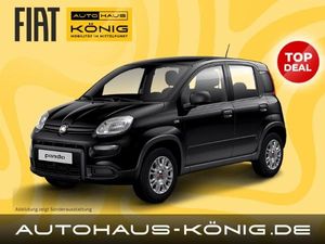 Fiat Panda | Citypaket | Inkl. Bereitstellungskosten ❗️ - Leasing