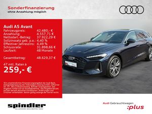 Audi A5 Avant TDI S-tronic / Pano, Tech, CarPlay, AHK
