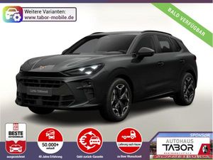 Cupra Terramar VZ 4D AHK eHk Kam SHZ ACC 3ZClim 19"LM