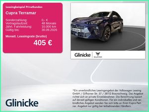 Cupra Terramar 2.0 TSI DSG 4Drive Business Paket