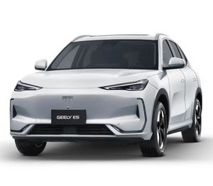 Geely E5 Pro Leder 360°Kamera LED Keyless Sitzheizung