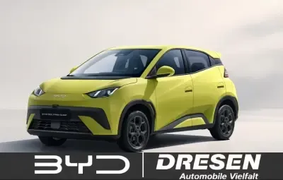 BYD DOLPHIN Comfort Leasing
