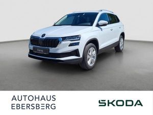 Skoda Karoq TSI DSG Selection ACC AHK Kamera