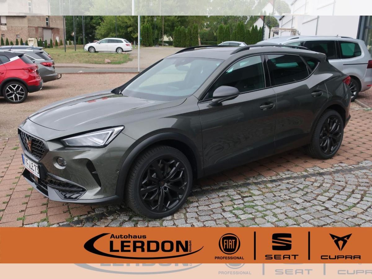 Cupra Formentor 2.0TSI DSG VZ Tribe Edition |Matrix|PANO|SOUND Leasing