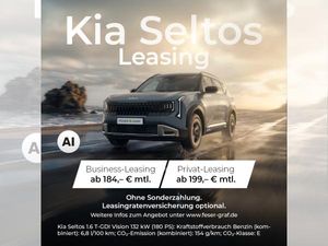 Kia Seltos 1.6 T-GDI VISION🚨DER NEUE BEI KIA🚨