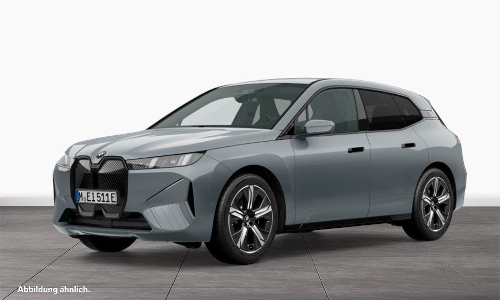 BMW iX xDrive45 AHK Driv.Assist.Prof Harman/K LED Leasing