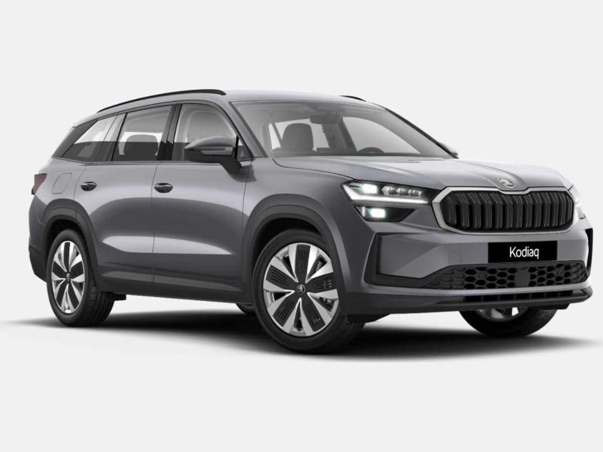 Skoda Kodiaq 1.5 TSI mHEV Selection AHK Leder Matrix Leasing
