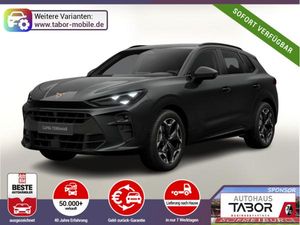 Cupra Terramar VZ 4D AHK eHk Kam SHZ ACC 3ZClim 19"LM