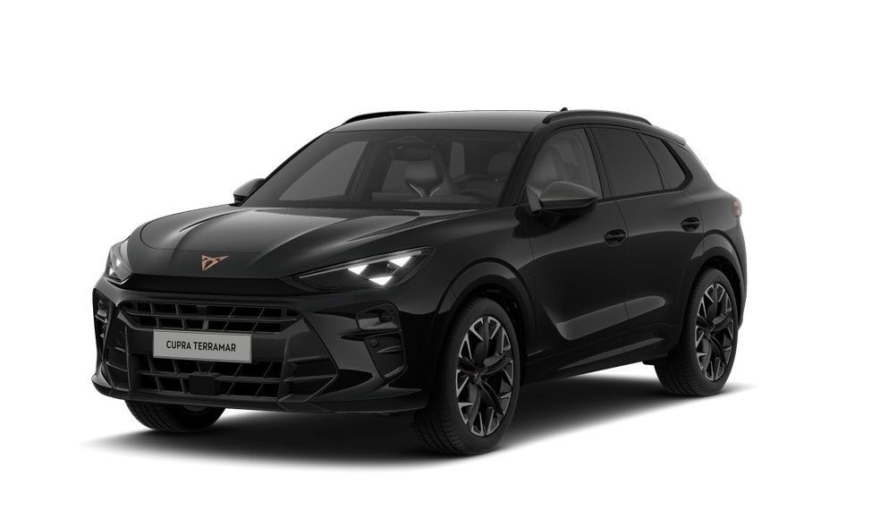 Cupra Terramar 2.0 TSI DSG 4Drive VZ DCC MATRIX*HEADUP Leasing