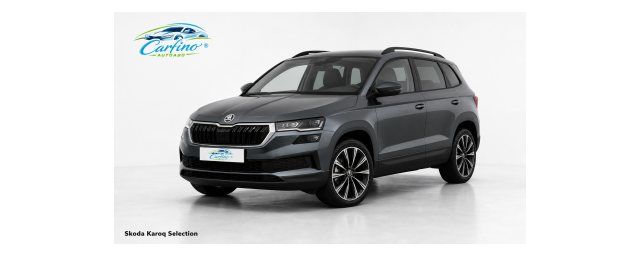 Skoda Karoq Selection 2,0 TDI 110 kW 7-Gang-DSG Auto-Abo