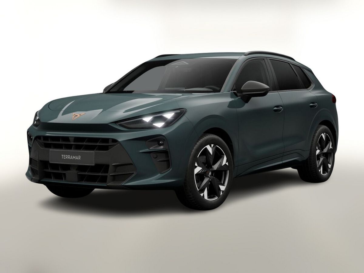 Cupra Terramar DSG EdgeP SHZ eHk Kam ACC 19