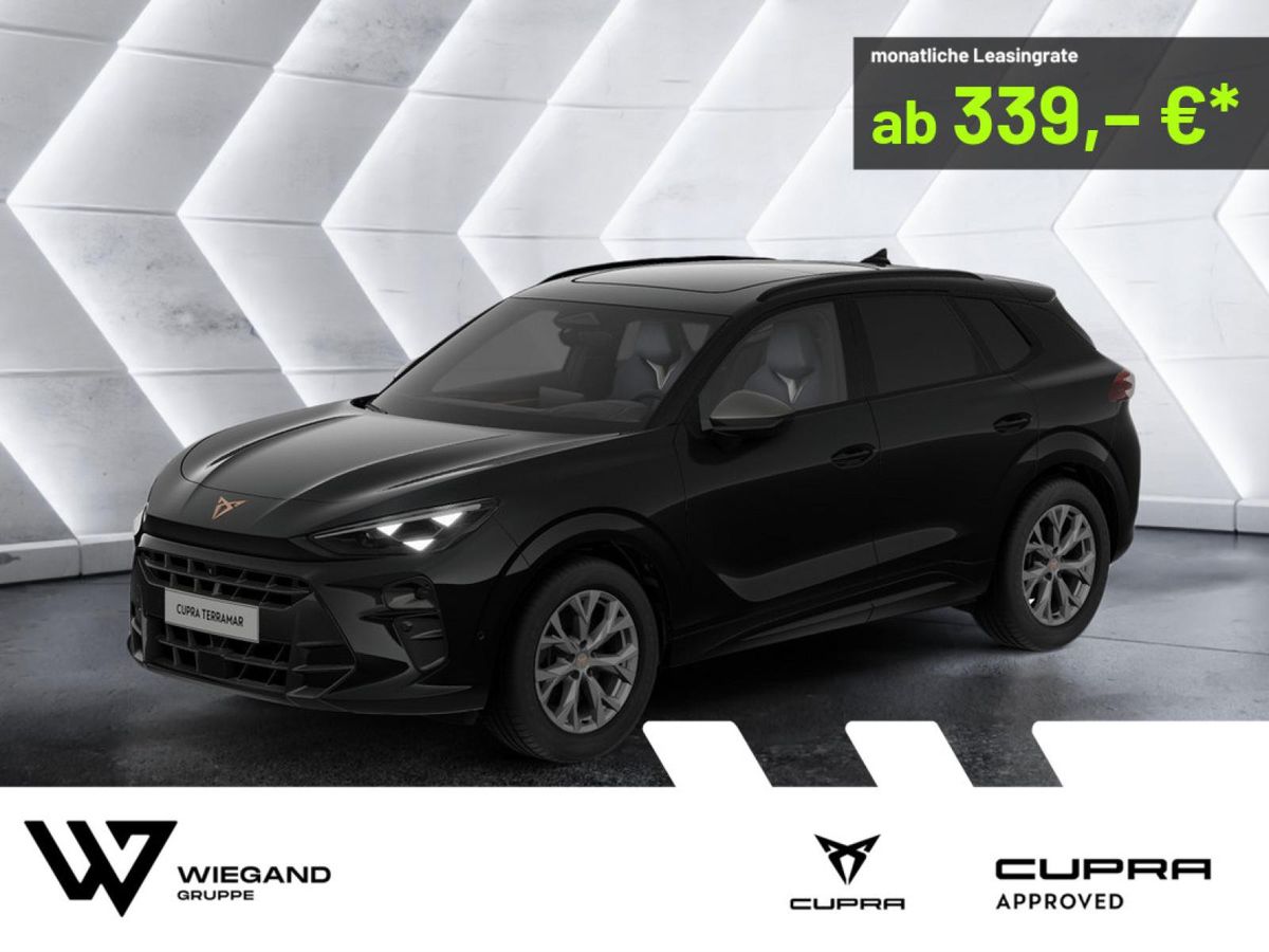 Cupra Terramar Terramar 2.0 TSI DSG 4Drive PANO MATRIX-LED 360° *202* Leasing