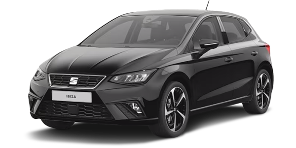 SEAT Ibiza Vehicle Model