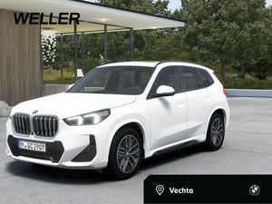 BMW X1 20d M Sport ACC adLED H/K DAB+ AHK 18" Pano