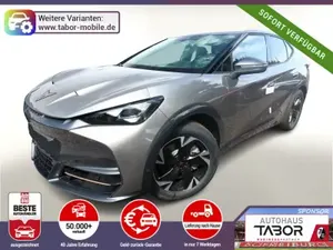 Cupra Tavascan 77 kWh Endurance Nav SHZ ParkA Kessy