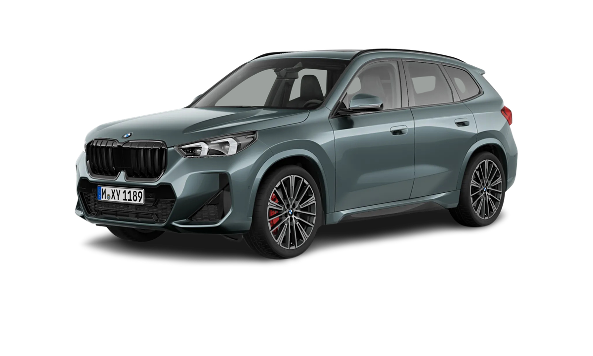 BMW X1 sDrive20d Steptronic sDrive20d Steptronic Auto-Abo