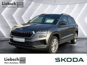 Skoda Karoq Style 2.0 TDI DSG AHZV RFK Navi Klima