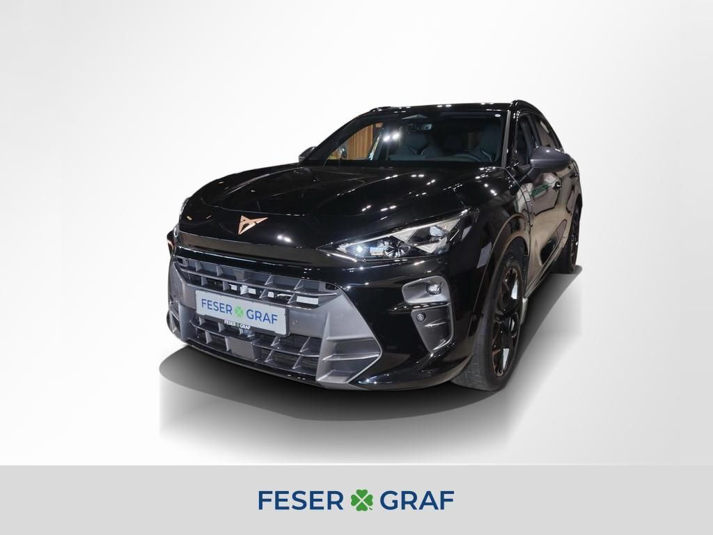 Cupra Terramar 2.0 TSI VZ 4D DSG Matrix Navi Pano RüKa Leasing