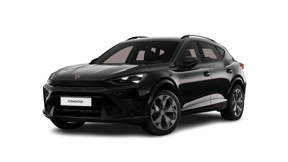 Cupra Formentor 2.0 TSI 7-Gang DSG Auto-Abo