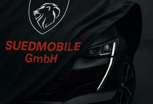 Kia Ev2 42,2 KWh Earth 5dr