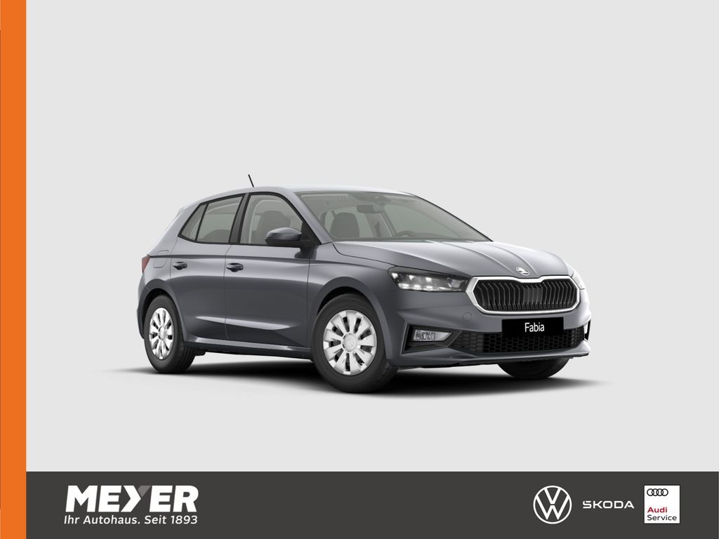 Skoda Fabia  Selection 1.0 MPI *Climatronic, LED, Einp Leasing