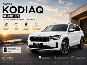 Skoda Kodiaq Selection 1,5 TSI IV DSG AHK Komfort Plus ❗❗❗Aktion bis 31.07.2026❗❗❗