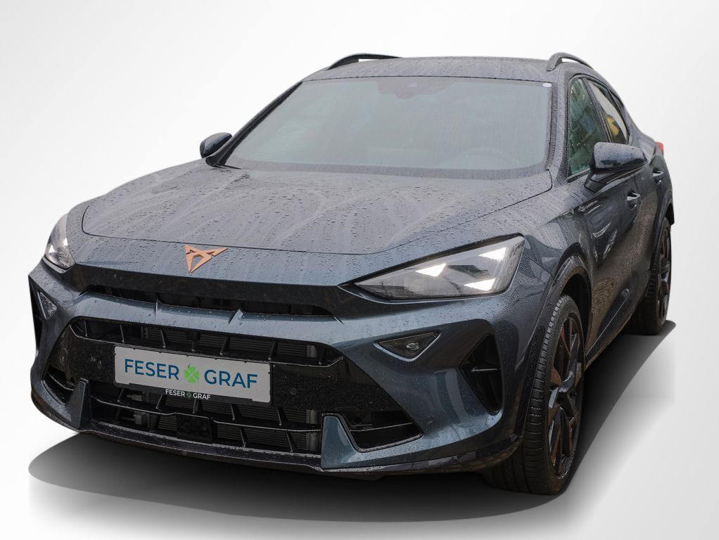 Cupra Formentor 2.0 TSI 4D VZ DSG 360° AHK Matrix Leasing