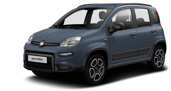 Fiat Panda Vehicle Model