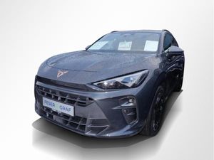 Cupra Terramar 2.0 TSI 4D VZ DSG AHK Matrix Navi RüKa