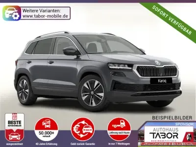 Skoda Karoq DSG Selec ACC Kam SideA SHZv/h Kessy SunS Auto kaufen