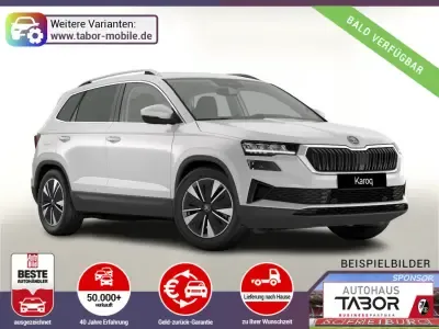 Skoda Karoq DSG Selec AHK ACC Kam SideA SHZv/h Kessy Leasing